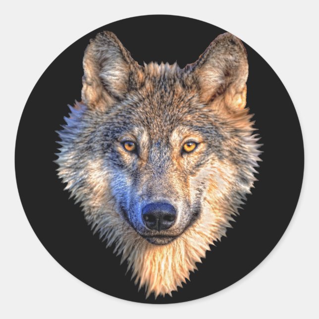 Watchful Wolf Classic Round Sticker (Front)