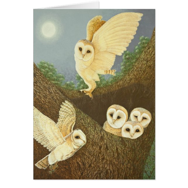 Watching and Waiting 2013 (Front)