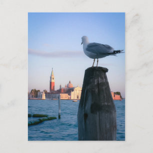 Watching for gondalas in Venice Postcard