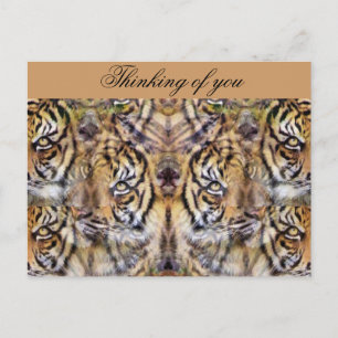 Watching Out_ Postcard