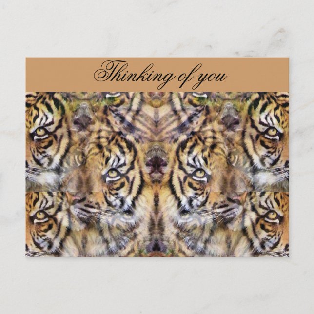 Watching Out_ Postcard (Front)