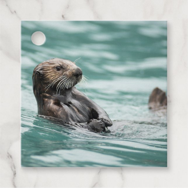 Watching Sea Otter Favour Tags (Front)