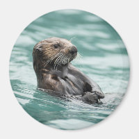 Watching Sea Otter