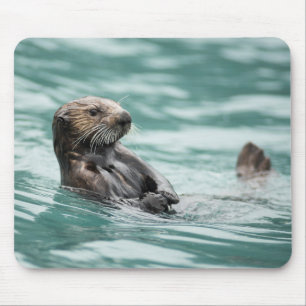 Watching Sea Otter Mouse Pad