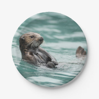 Watching Sea Otter Paper Plate