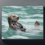 Watching Sea Otter Plaque<br><div class="desc">A sea otter keeps a sharp eye out for danger in Alaska's Prince William Sound. By Ted Raynor</div>