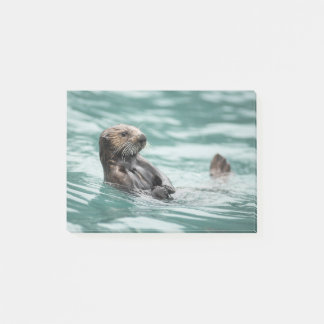 Watching Sea Otter Post-it Notes