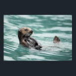 Watching Sea Otter Poster<br><div class="desc">A sea otter keeps a sharp eye out for danger in Alaska's Prince William Sound. By Ted Raynor</div>