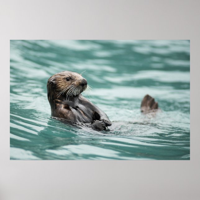 Watching Sea Otter Poster (Front)
