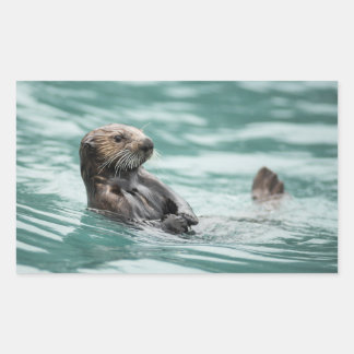 Watching Sea Otter Rectangular Sticker