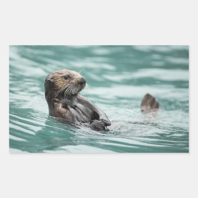 Watching Sea Otter Rectangular Sticker (Front)