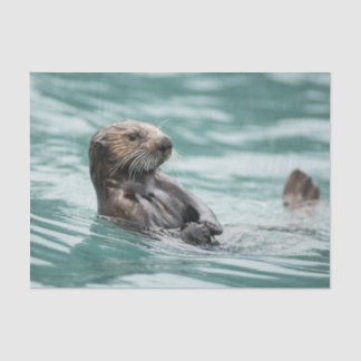 Watching Sea Otter Tissue Paper