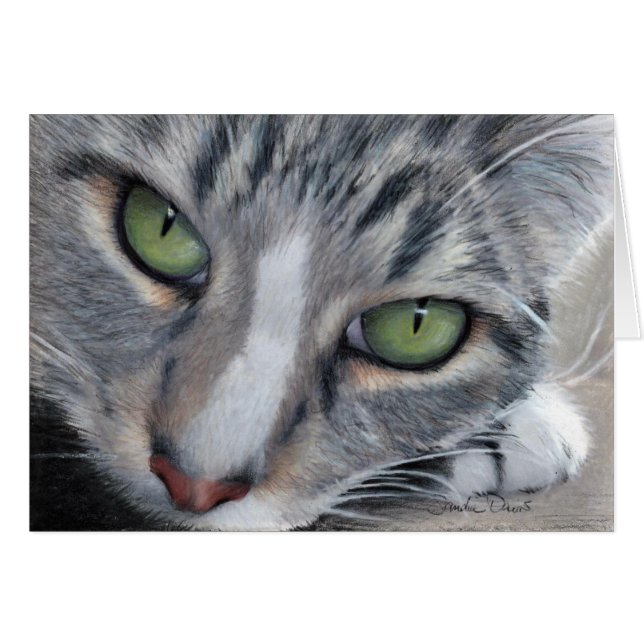 Watching Tabby Drawing Card (Front Horizontal)