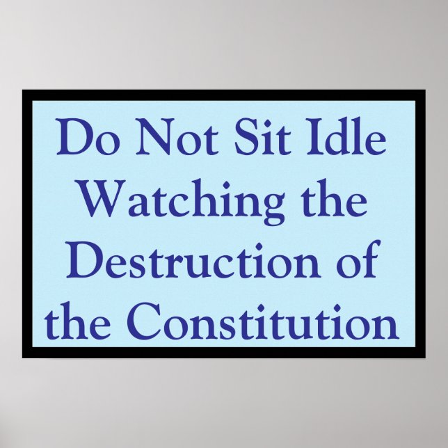 Watching the Constitution Destroyed Poster (Front)