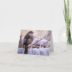 Watching the Raindrops Note Card