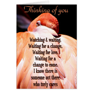 Watching & Waiting_