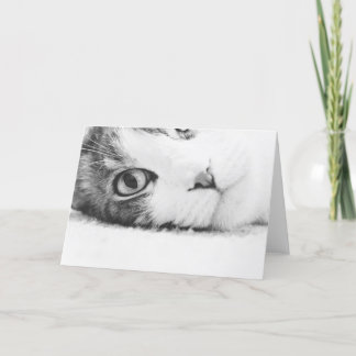Watching you, greetingcard empty card