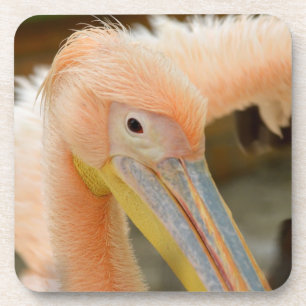 Watching You Pelican Cork Coaster