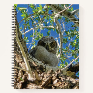Watching You Spiral Notebook