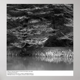 Water and Trees near UC San Francisco, 1966 Poster