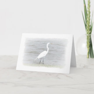 Water bird card