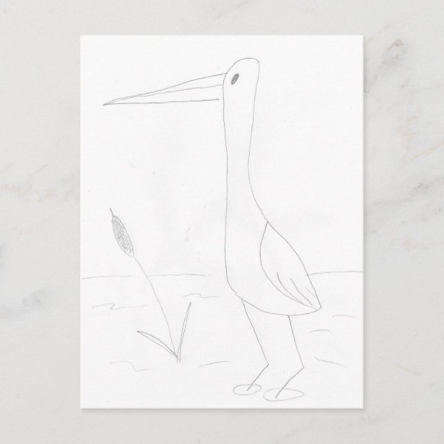 Water Bird Postcard (Front)
