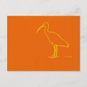 Water Bird Postcard