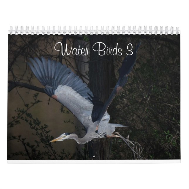 Water Birds 3 Two Page MediumCalendar, White Calendar (Cover)