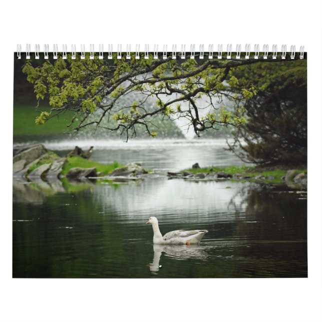 Water Birds Calendar (Cover)
