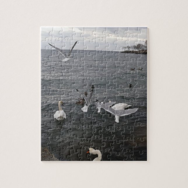 Water Birds on Lake Ontario Jigsaw Puzzle (Vertical)