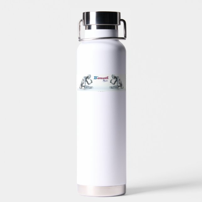 Water Bottle Insulated Tumbler (Back)