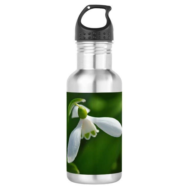 Water bottle Spring (Front)