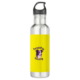  Water Bottle (Stainless Steel)