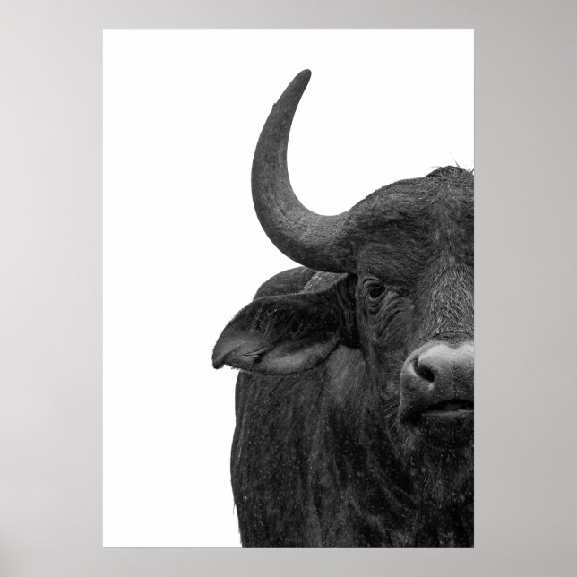 Water Buffalo Black White Modern  Poster (Front)