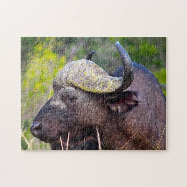 Water Buffalo Jigsaw Puzzle (Horizontal)