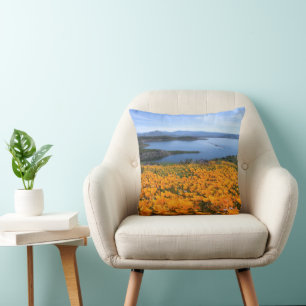 Water California Lake With Golden Poppies Cushion
