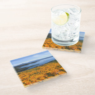 Water California Lake With Golden Poppies Glass Coaster