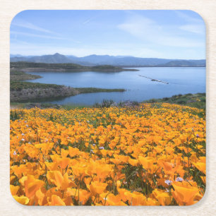 Water   California Lake With Golden Poppies Square Paper Coaster