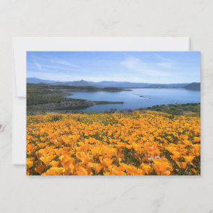 Water California Lake With Golden Poppies Thank You Card