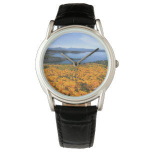 Water   California Lake With Golden Poppies Watch