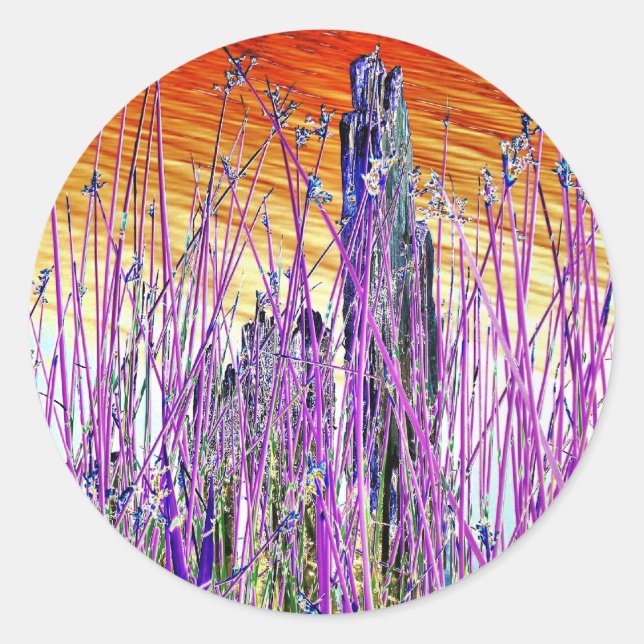 WATER CLASSIC ROUND STICKER (Front)