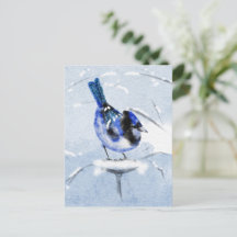 Water Color Bird Christmas postcard