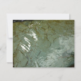 Water-Covered Rock Slab Nature Photo