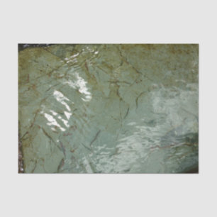 Water-Covered Rock Slab Nature Photo Tissue Paper