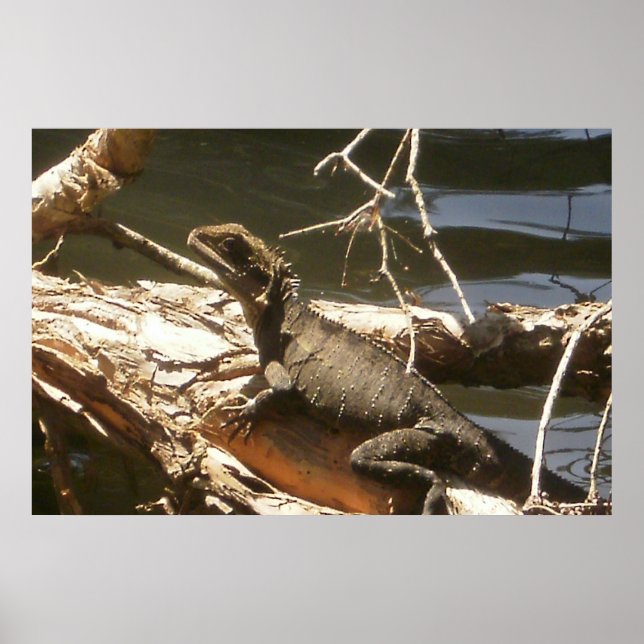 Water Dragon Poster (Front)