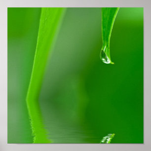 Water drop Poster