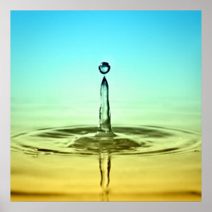 Clean Water Posters & Photo Prints | Zazzle NZ