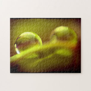 Water Drop Puzzle