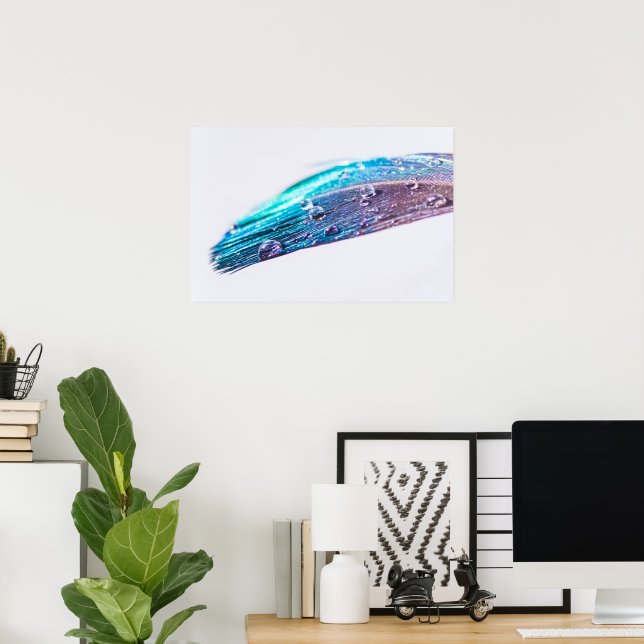 Water Droplet on a Feather Poster (Home Office)