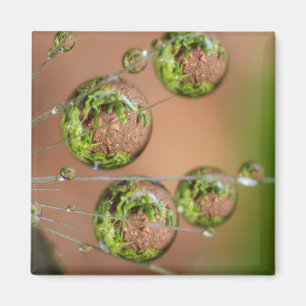 Water Droplet Reflection Magnet